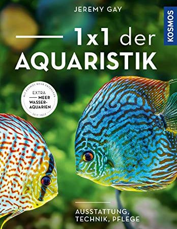 1 x 1 der Aquaristik: Ausstattung, Technik, Pflege