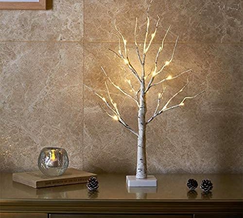 EAMBRITE Lichterbaum Lichterzweige für Innen 24 Warmweiß LEDs Bäumchen Birken Dekozweige Batteriebetrieb Weihnachtsdeko für Zuhause Party Geburtstag Hochzeit Innendekoration (60cm/2ft)