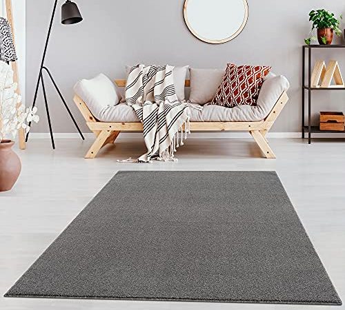 Fashion4Home Teppich Wohnzimmer – Einfarbig Teppich, Uni Teppich fürs Kinderzimmer, Schlafzimmer, Arbeitszimmer, Büro, Flur und Küche - Kurzflor Teppich Hellgrau, Größe: 120x170 cm
