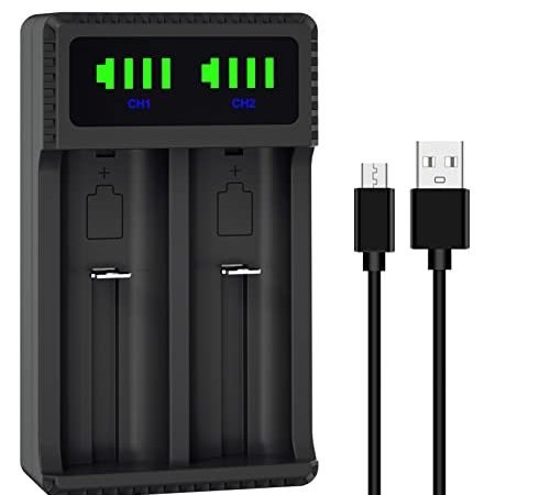 18650 Akku ladegerät, Universal 21700 Akku ladegerät, Smart LED USB Dual Akku ladegerät für 14500 16340 18350 18650 18490 17500 17670 22650 26650 wiederaufladbare Li-Ionen-Akkus