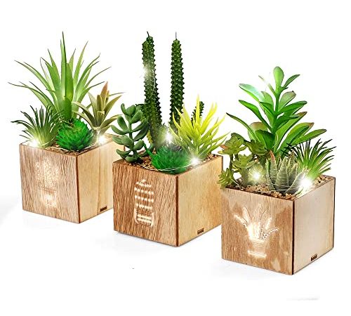 BEGONDIS Set von 3 künstlichen Sukkulenten mit Led-Leuchten in Holzkiste, künstliche Pflanzen Plastik -Topiary für Wohn-/Bürodekorationen, Tischdekoration, Valentinstag.