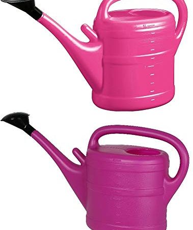 Gießkanne (2X) 10L große Farbauswahl Kanne Gartenkanne