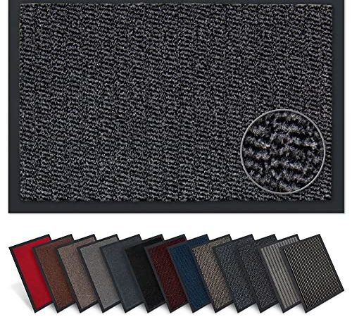 Carpet Diem Rio Schmutzfangmatte - 5 Größen - 11 Farben Fußmatte mit äußerst starker Schmutz und Feuchtigkeitsaufnahme - Sauberlaufmatte in dunkel grau - anthrazit - schwarz 40 x 60 cm