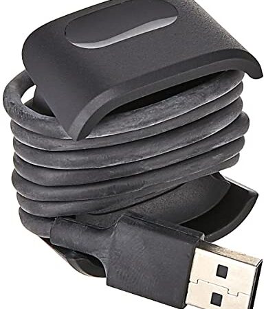 Fitbit Unisex-Adult Versa 2,Retail Charging Cable, Schwarz, Einheitsgröße