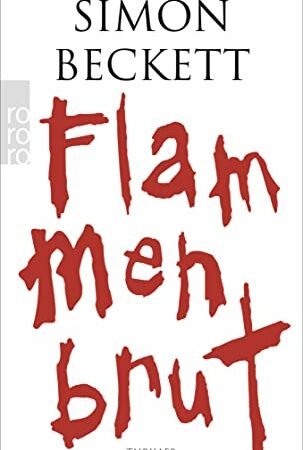 Flammenbrut: Thriller