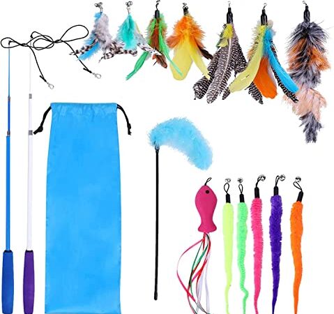 Toozey Federspielzeug 16 Stück, Katzen Spielzeug mit 2 STK versenkbare interaktive Katzen Rods und 14 STK Feder/Bug/Fisch Ersatz mit Glocken, Feder Dangler Katzenspielzeug mit Aufbewahrungstasche
