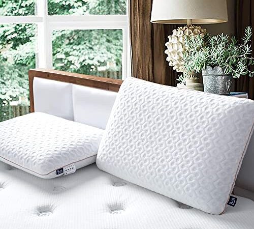BedStory Kissen aus Memory Foam, Orthopädisches Nackenstützkissen für Nackenschmerzen, Ergonomisches Gel-Visco Kopfkissen mit Abnehmbarem&Hypoallergenem Bezug, Schlafkissen in 40x60x13CM