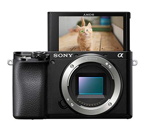 Sony Alpha 6100 | APS-C Spiegellose Kamera ( Schneller 0,02s-Autofokus, Autofokus mit Augenerkennung für Mensch und Tier, 4K-Filmaufnahmen und neigbares Display)