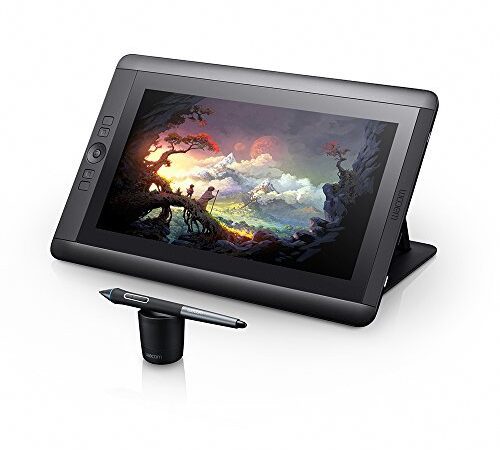 Wacom Cintiq 13HD (DTK-1300)
