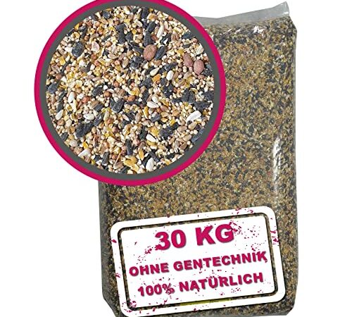 WILDVOGEL VITAL 30 kg. Premium Ganzjahresfutter für Wildvögel und Gartenvögel mit Erdnüsse und Französischen Sonnenblumenkerne. OHNE GENTECHNIK!